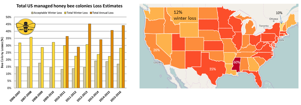 Bee losses chart and map