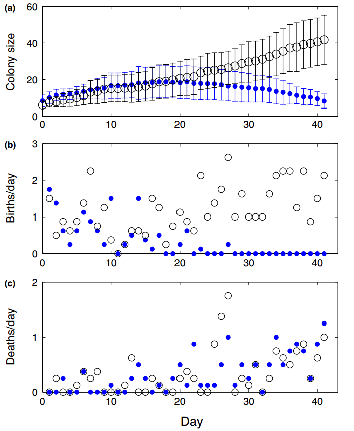 Chronic Sublethal Stress Causes Bee Colony Failure