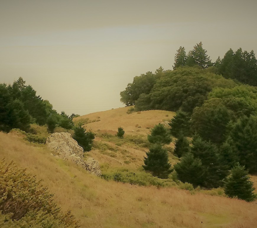 The Marin headlands and coast, seen from the side of Mount Tamalpais