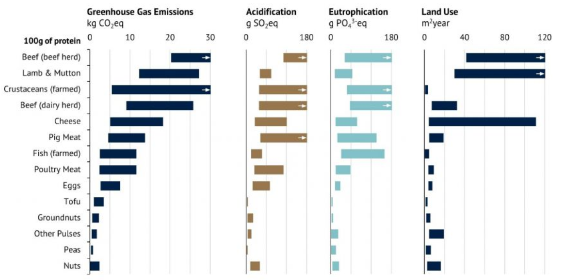 A figure from a 2018 Science paper showing 4 impacts of various meats and plant-based protein sources. In all four areas (greenhouse gas emissions, acificication, eutrophication, and land use) the plant-based proteins have a significantly lower impact.
