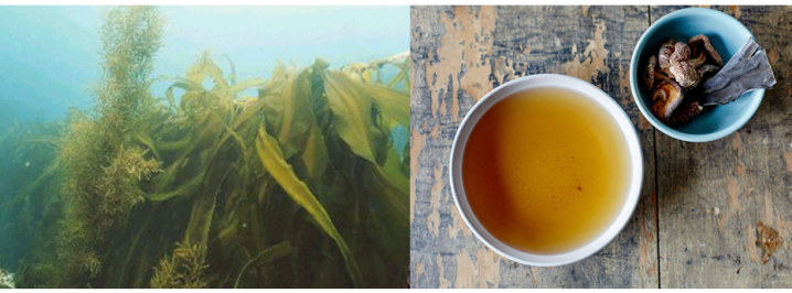 Seaweed sustainability and health benefits. The left image shows kombu (a type of kelp) growing in the ocean. The right image shows a bowl of broth next to some dried kombu and shiitake mushrooms.