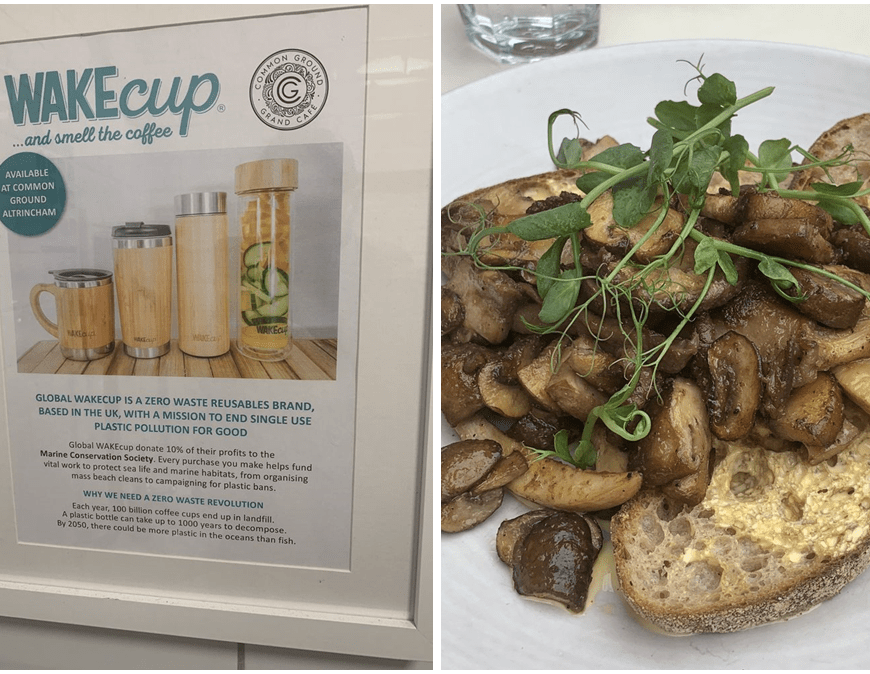 Ethical Consumer UK - Green Stars contest winner. Photos from two Green Stars reviews are shown