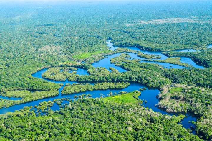 An aerial view of the Amazon rainforest on a sunny day, showing mainly trees and small waterways.