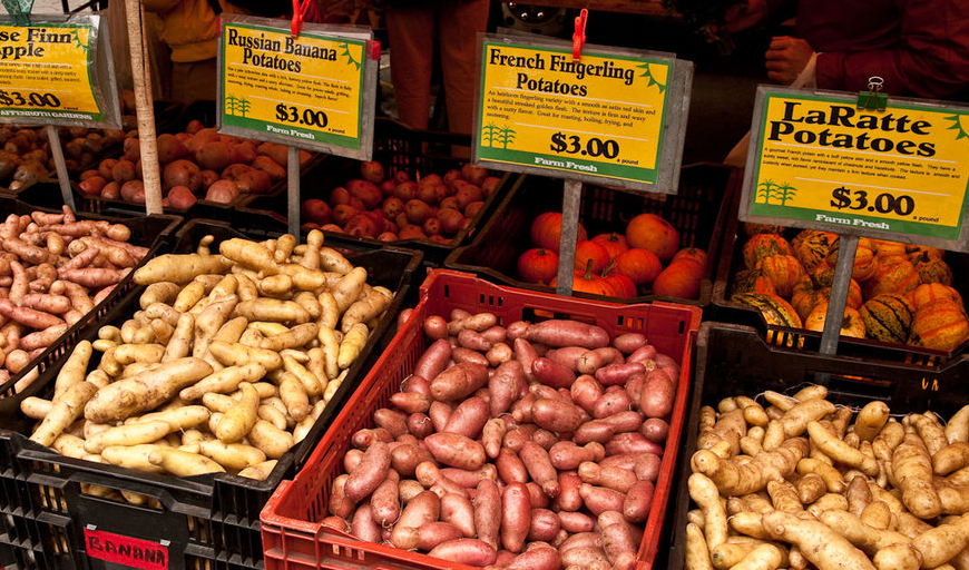 Are low-carb diets good for you? A photo of various varieties of potatoes in crates.