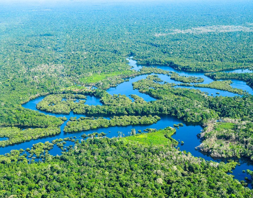 An aerial view of the Amazon rainforest on a sunny day, showing mainly trees and small waterways.