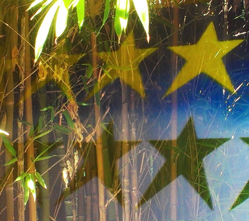 5 gold stars on top of 5 green stars