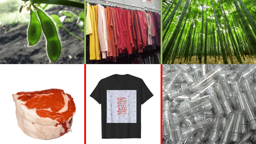 Ethical decision making - sustainable raw materials. Six images are shown to represent three choices - legumes (a soybean plant) versus meat, a thrift store versus a T-shirt from Shein, and bamboo versus plastic. 