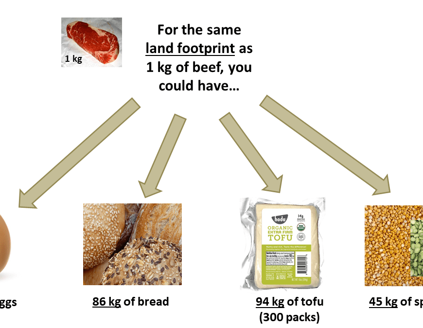 Comparing the land footprint of 1 kg beef to eggs, bread, tofu, and split peas. For 1 kg of beef, you could have 52 kg of eggs (1000 eggs), 86 kg of bread, 94 kg of tofu, or 45 kg of split peas for the same land footprint.