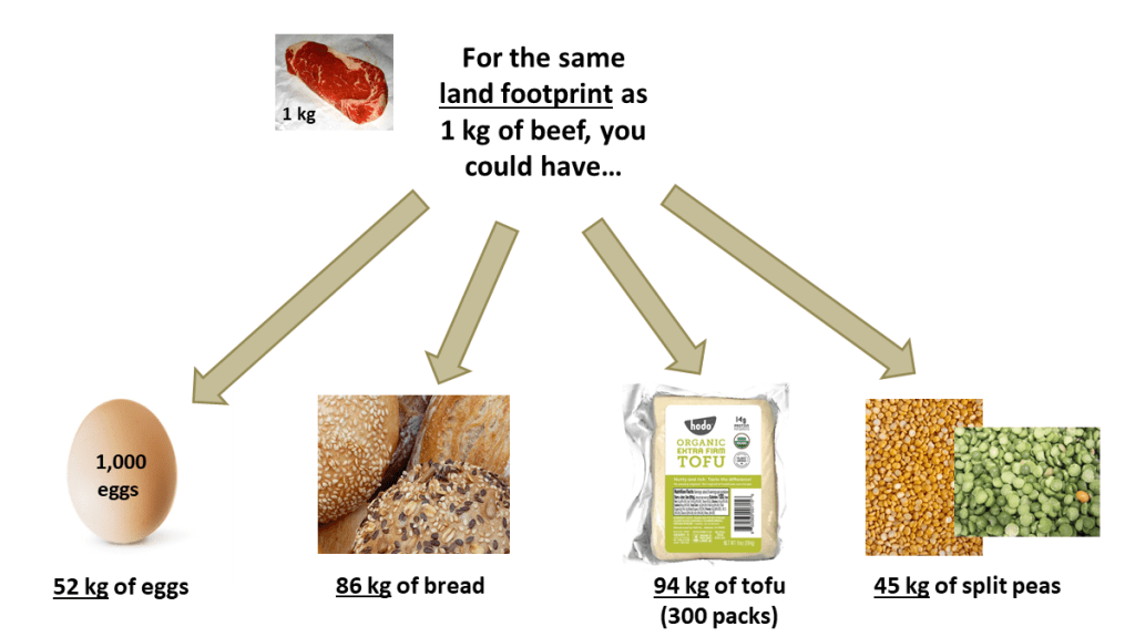 Comparing the land footprint of 1 kg beef to eggs, bread, tofu, and split peas. For 1 kg of beef, you could have 52 kg of eggs (1000 eggs), 86 kg of bread, 94 kg of tofu, or 45 kg of split peas for the same land footprint.