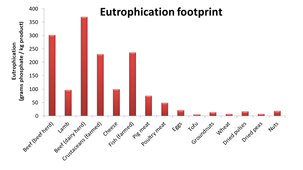 The Eutrophication (water pollution) footprint for various foods. The chart shows that beef and farmed fish have very large eutrophication footprints, followed by cheese. Tofu, wheat and dried peas have the smallest.