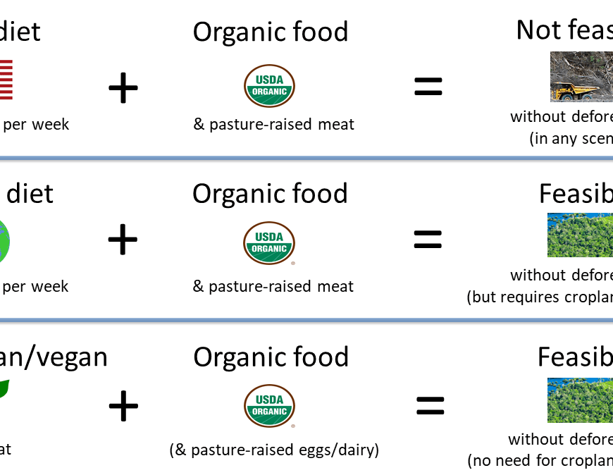 Various diets combined with organic agriculture - feasibility without deforestation. The image shows three scenarios. In the first, the rich diet (5.5. lbs. of meat per week) and organic food is not feasible without deforestation in any scenario. In the second, a global average diet (1.8 lbs. of meat per week) is feasible but only with cropland expansion. In the third, vegetarian and vegan diets and organic food are feasible without deforestation.