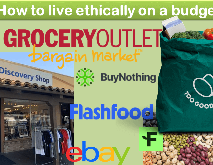 A composite of images - A thrift store front, various legumes, a bag from Too Good To Go, logos for the Grocery Outlet, Buy Nothing, Flashfood, FoodHero, and Ebay. "How to live ethically on a budget" is the caption at the top.