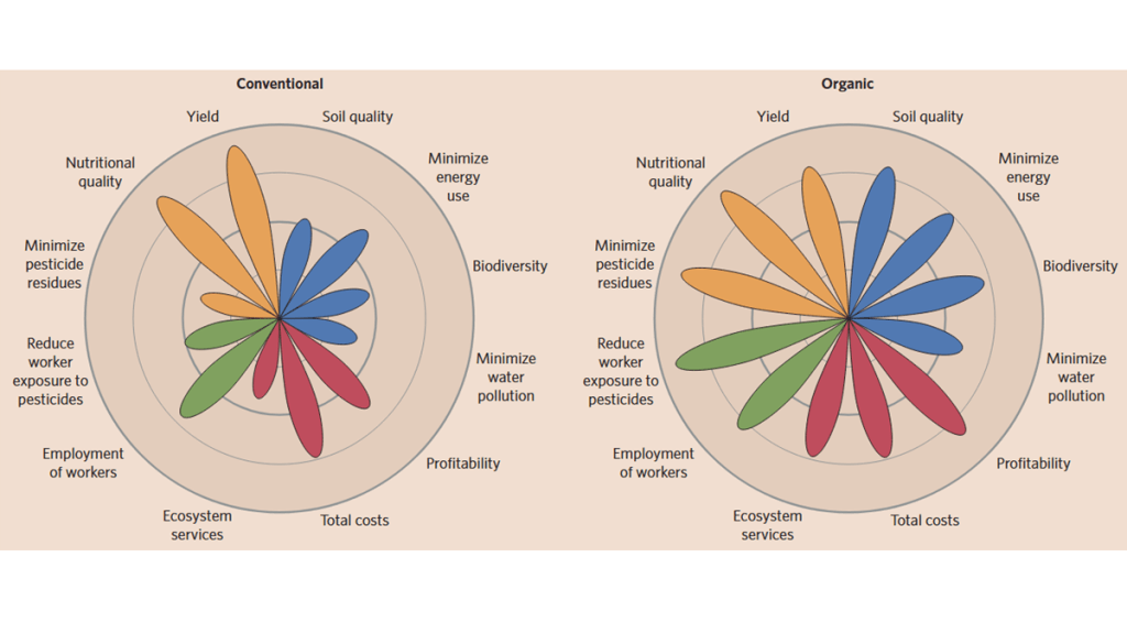 A graphic compares conventional and organic agriculture by rating them on several aspects - environmental, economic, social and production. Each kind of farming is represented by a flower-shaped graphic, with the length of petals proportional to how well they do on each aspect. Organic farming is superior in almost every aspect except for yield.