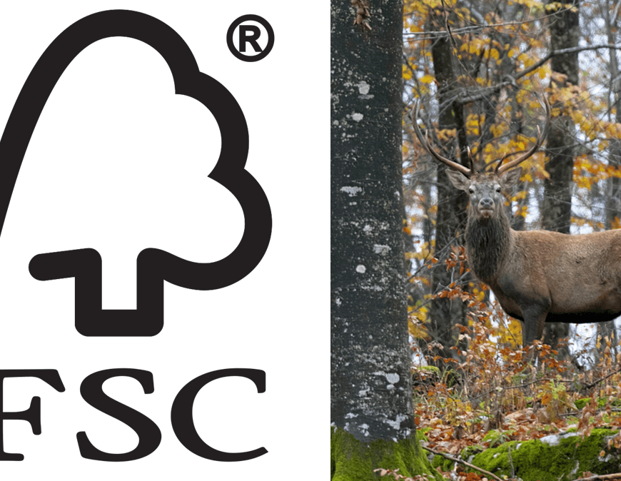 On the left is the Forest Stewardship Council (FSC) logo - an outline of a tree, combined with a checkmark. On the right is a photo of a stag standing in a forest.