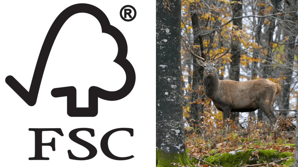 On the left is the FSC logo - an outline of a tree, combined with a checkmark. On the right is a photo of a stag standing in a forest.