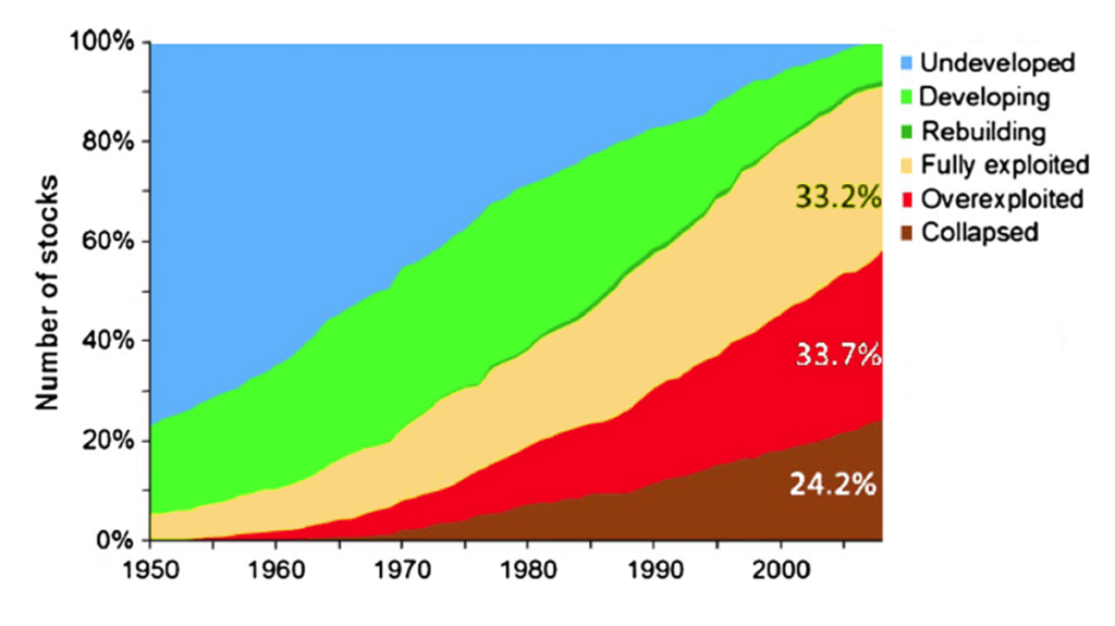 A chart shows the status of world fish stocks from 1950–2008 (data from the FAO catch database). From 1950 the percentage of collapsed fisheries has risen from zero to 24.2% and the percentage of overexploited fisheries has risen from around zero to 33.7%. The percentage of undeveloped fisheries has dropped from around 76% to around zero.
The graph is from the 2013 paper, Fisheries: Hope or despair?