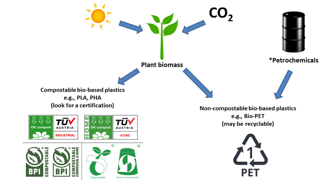 A graphic showing two different routes for the production of bio-based plastics. Plant biomass (made from CO2 and sunlight) can be converted into bio-based plastics that are either compostable, such as PLA or PHA (certified compostable logos shown) or non-compostable, such as Bio-PET (a recycling scheme graphic is shown for PET, #1 plastic).