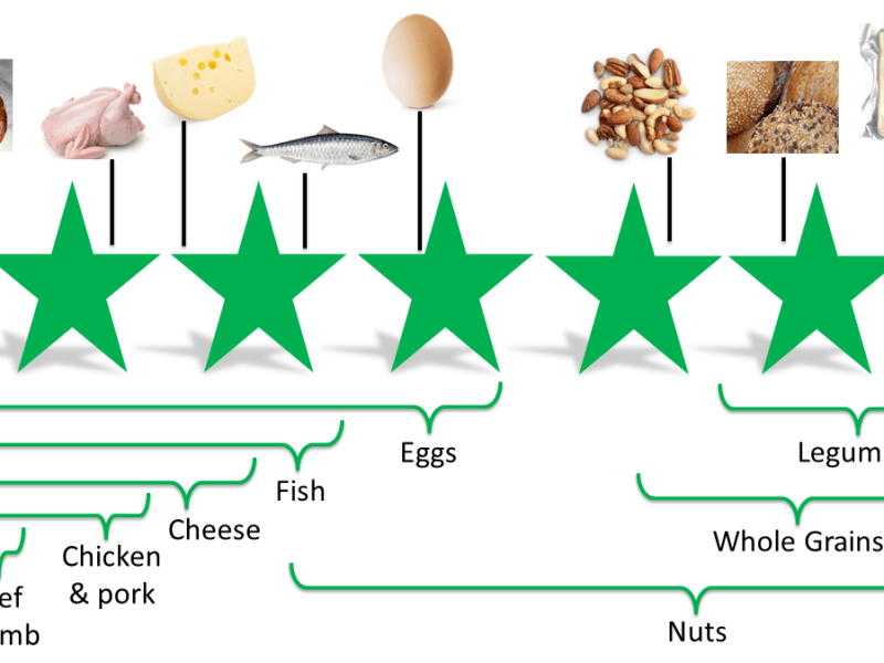 Sustainable Food: Ethical ratings for different protein sources