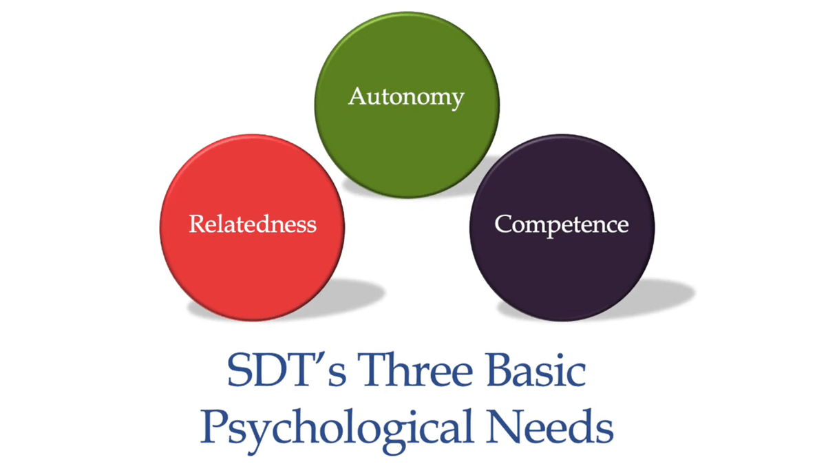 Self-determination theory and ethical consumption